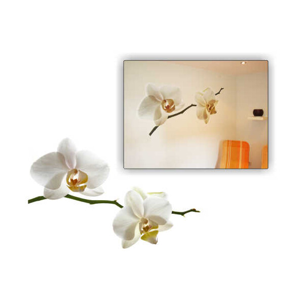 Wanddekoration Orchidee