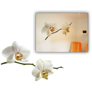 Wanddekoration Orchidee