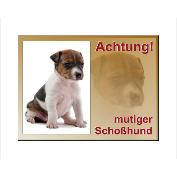 Jack Russel Terrier-Schild - Vorsicht mutiger Schoßhund!