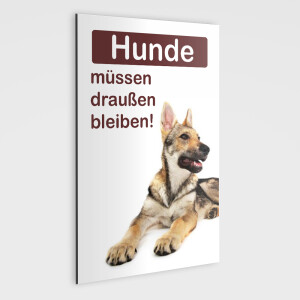 Hunde m&uuml;ssen drau&szlig;en bleiben Schild