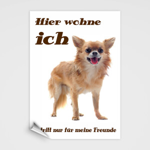 Chihuahua Schild - Hier wohne ich!