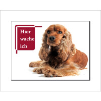 Cocker Spaniel  Schild - HIER WACHE ICH!