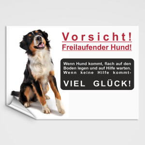 Bernersennen Hunde Schild - Vorsicht! Freilaufender Hund