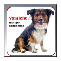 Waliser Corgi Schild - Vorsicht! mutiger Schosshund