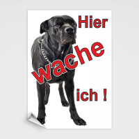 Black Italian Mastiff Schild - HIER WACHE ICH!