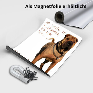 Boxer Hunde Schild - ICH LAUFE IN 4 SEKUNDEN.. !