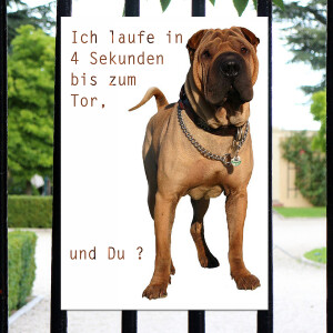 Boxer Hunde Schild - ICH LAUFE IN 4 SEKUNDEN.. !