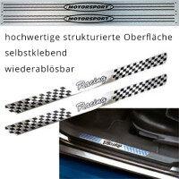 Einstiegsleisten im Alumium Look Motorsport